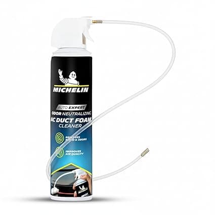 AC Clean & Disinfectant Foam